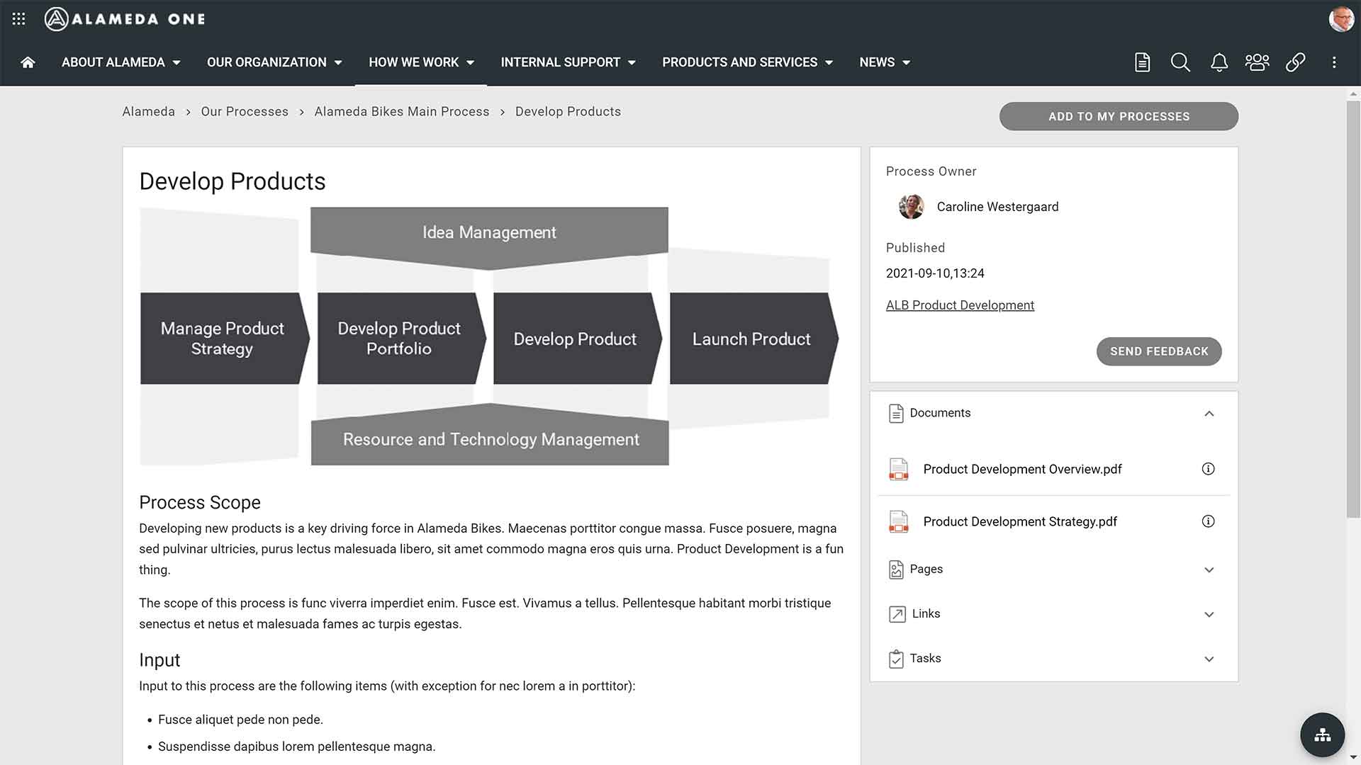 Intranet navigation 9-Business processes and related information